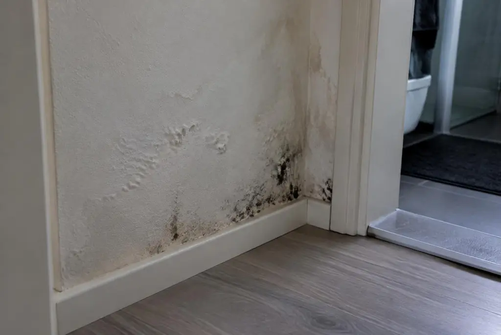 Lekdetectie Leerdam – vochtplek met schimmel op een muur